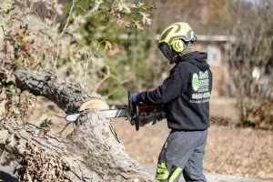 tree removal